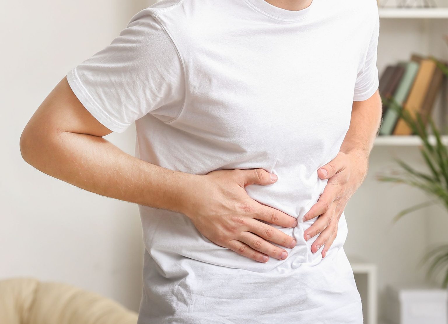 How's Your Digestion Support?