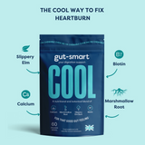 gut-smart COOL heartburn and acid reflux relief